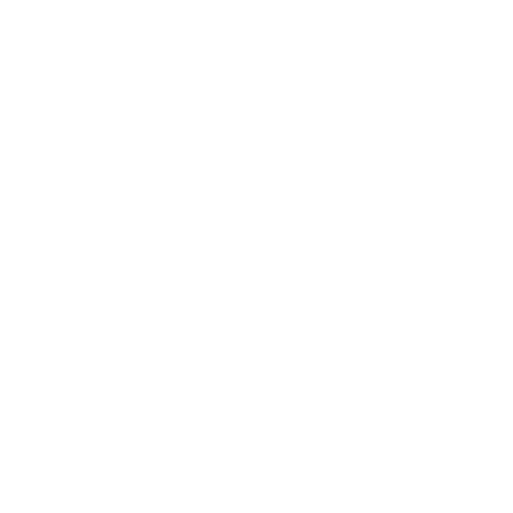 Paragon Standard Industries Logo